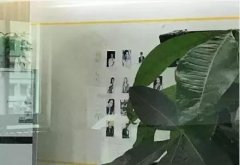 夸姣容颜总有色的